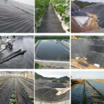 Pond Liners - Image 4