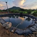 Pond Liners