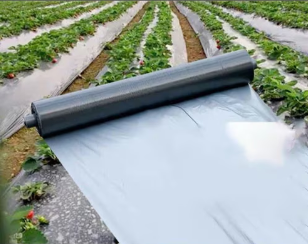 12. Mulch films Mulch films - Image 1